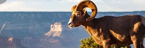 mathil44's profile banner image