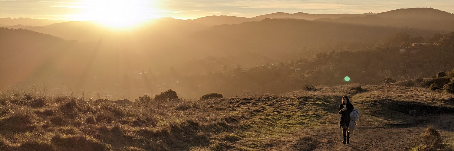 Bruno Bergher banner