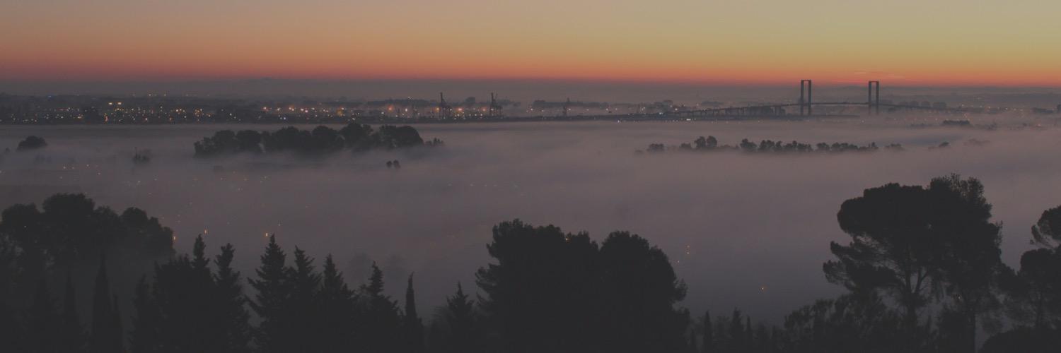 AnaPegado's profile banner image