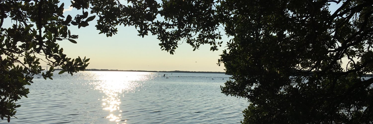LeslieFarrell's profile banner image