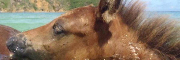 garmy Profile Banner