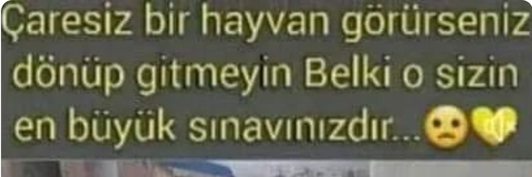 SevillUgur's profile banner image