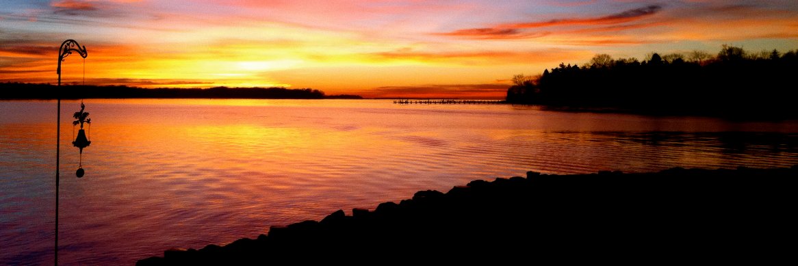 tesscanlon's profile banner image