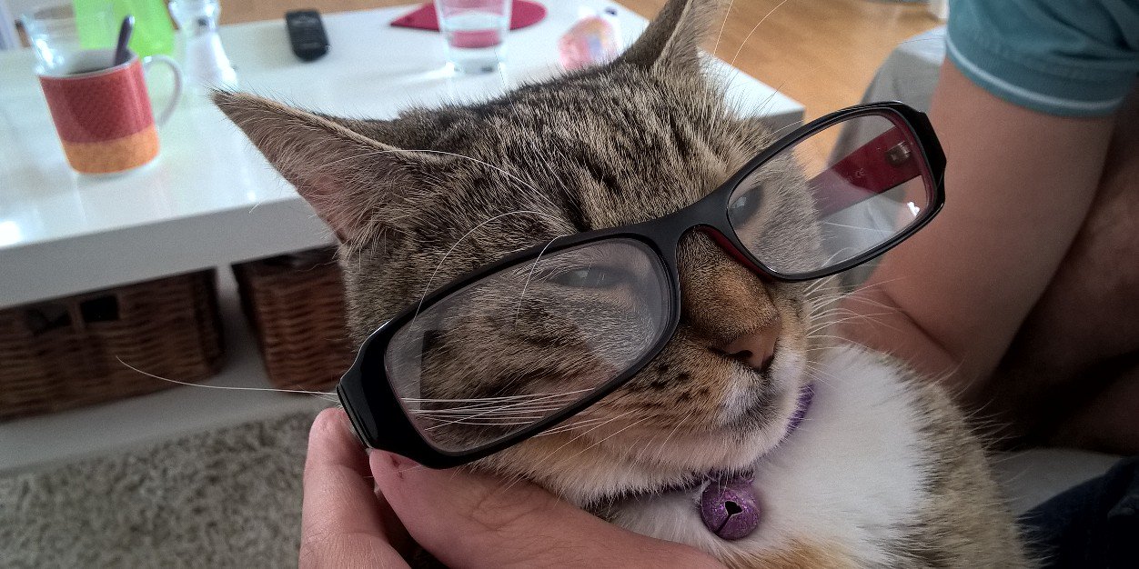 Caro ça gèle ici banner