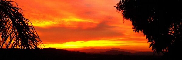 deniseleonard Profile Banner