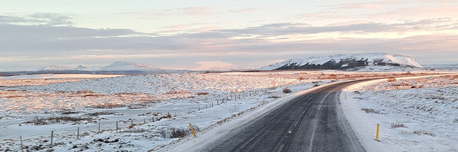 Paul 💬🌲 banner