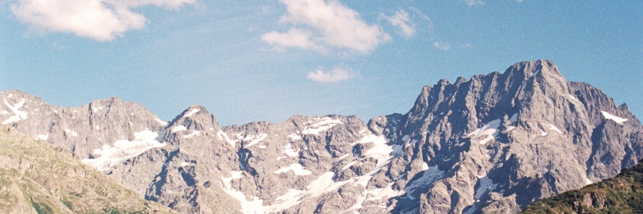 Emily Theokritoff's banner