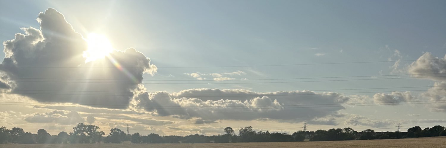 PalmBrown's profile banner image