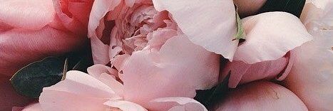 JustineCauchie2's profile banner image