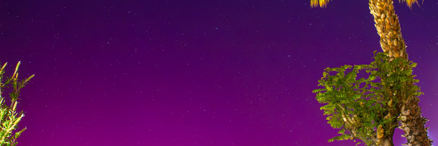 bonsaifox.tez 🏴‍☠️🥚's banner