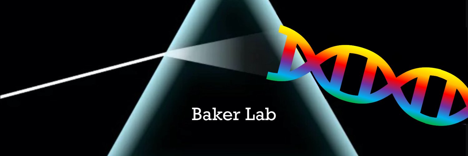 The Baker Lab banner