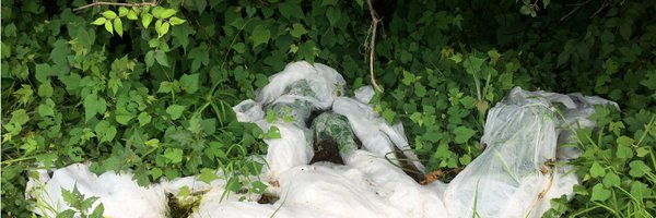 M0zrat Profile Banner