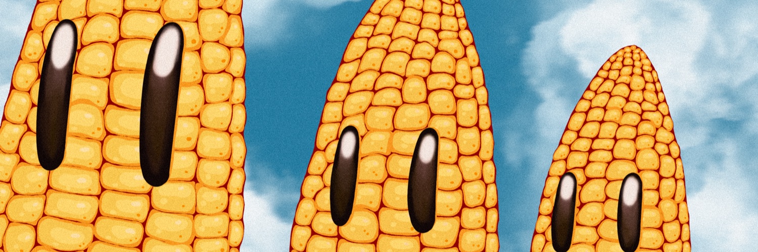 maisonmaize.com banner