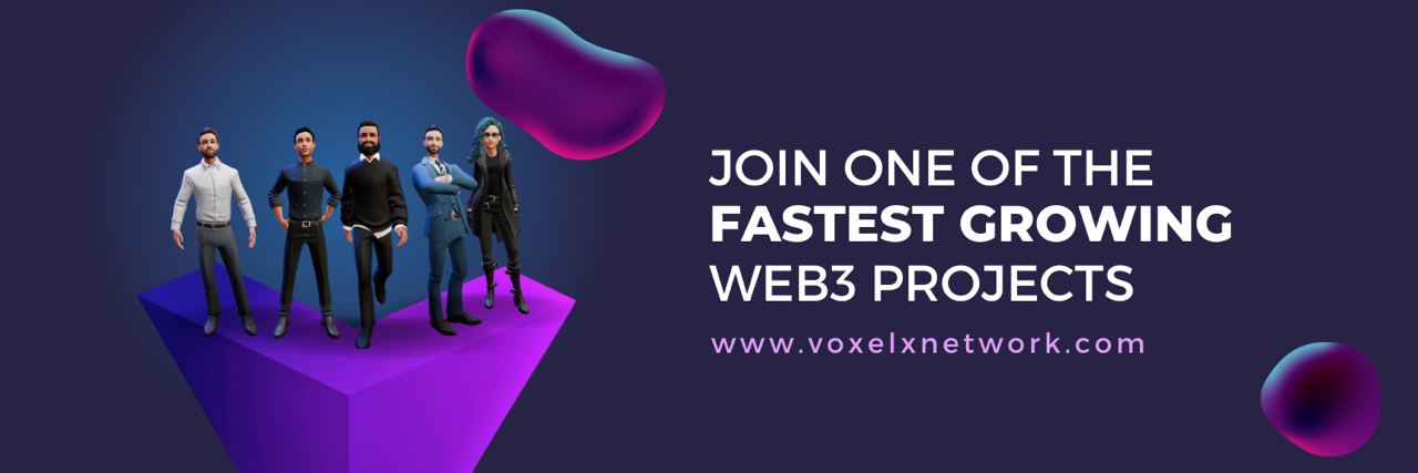 Voxel X Network banner