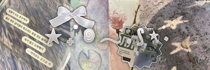 patriccia ⭑ banner