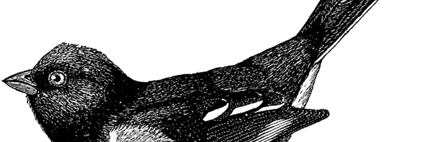 gabtirado's profile banner image