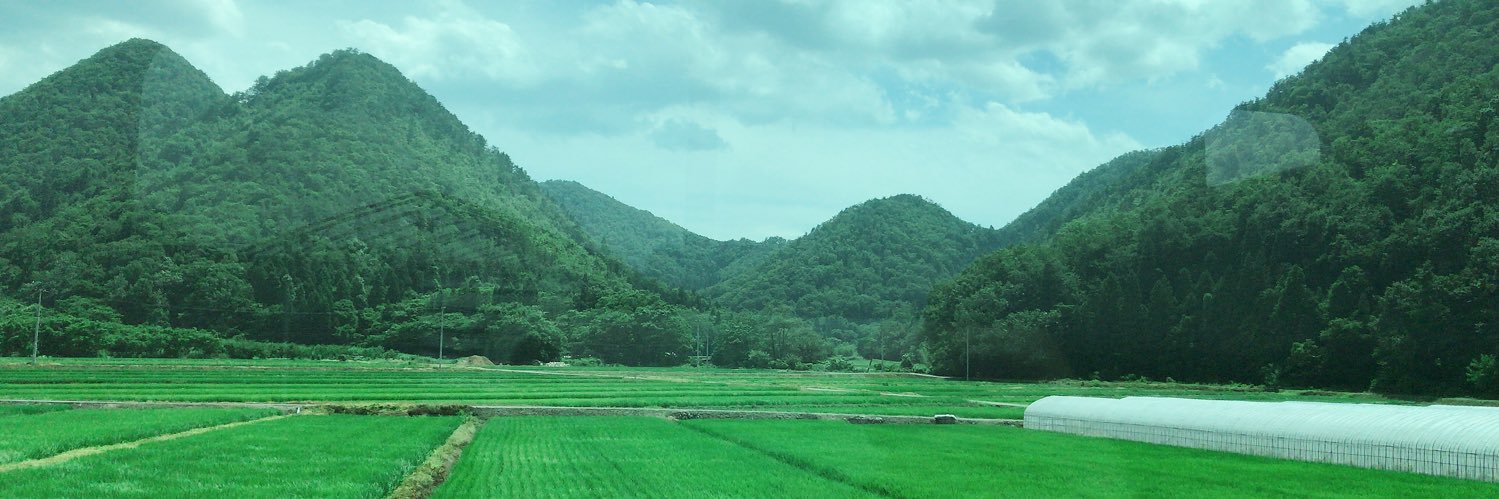 peck_koh's profile banner image