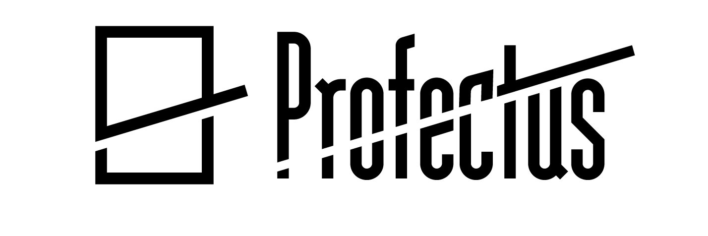 Profectus Magazine's banner
