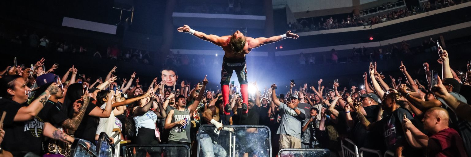 farofa swerve jordan jr banner