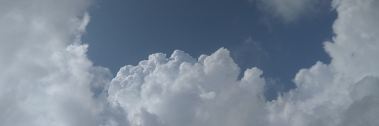 aandreaa_ng's profile banner image