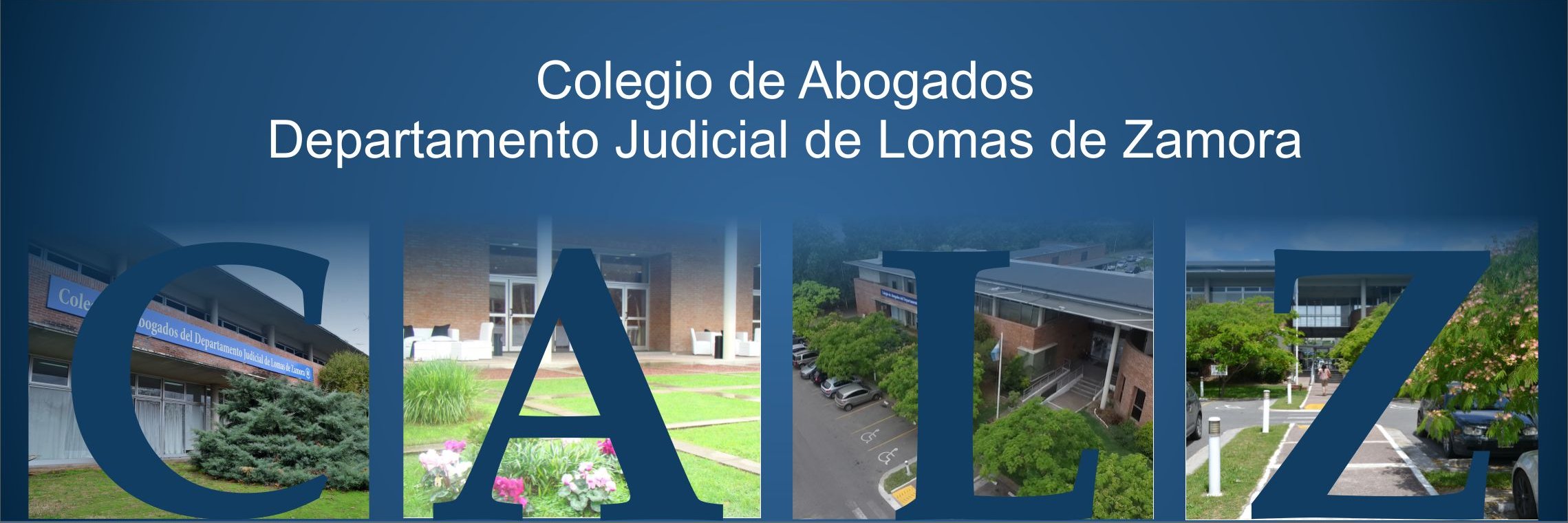 calzlomas's profile banner image