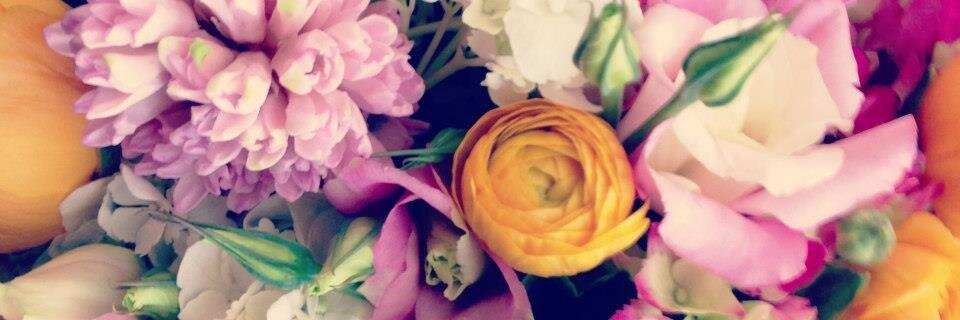 katelin's profile banner image