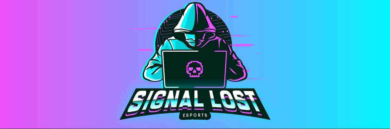 SignalLost2k's profile banner image