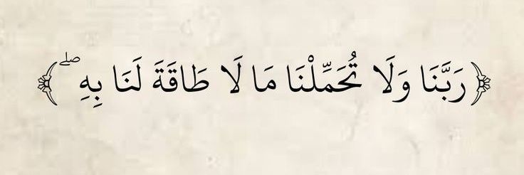 Mohamed Sayed banner