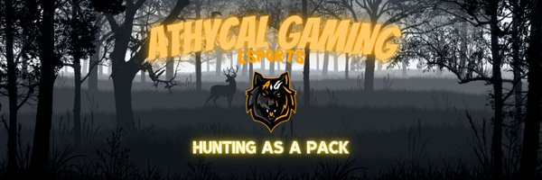 AthycalGaming Profile Banner