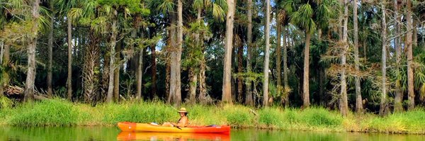 ChiefHomeOffice Profile Banner