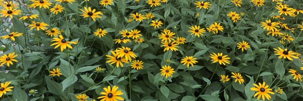 AlejaCorazonHM Profile Banner