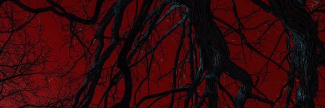 ˗ˏˋ𝔞𝔳𝔞 𝔪𝔞𝔯𝔦𝔞´ˎ˗ banner