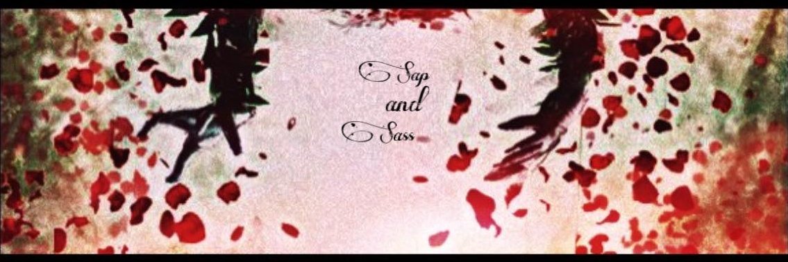 SapAndSass's profile banner image