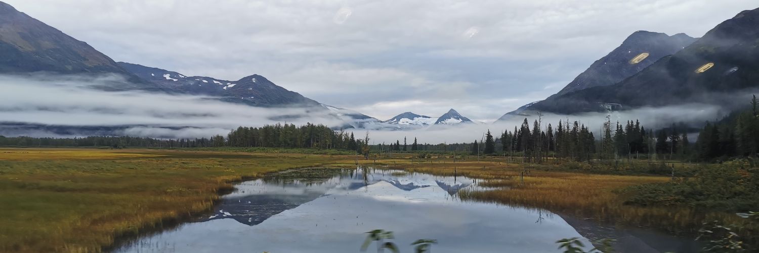 RealDavidChong🇸🇬 banner