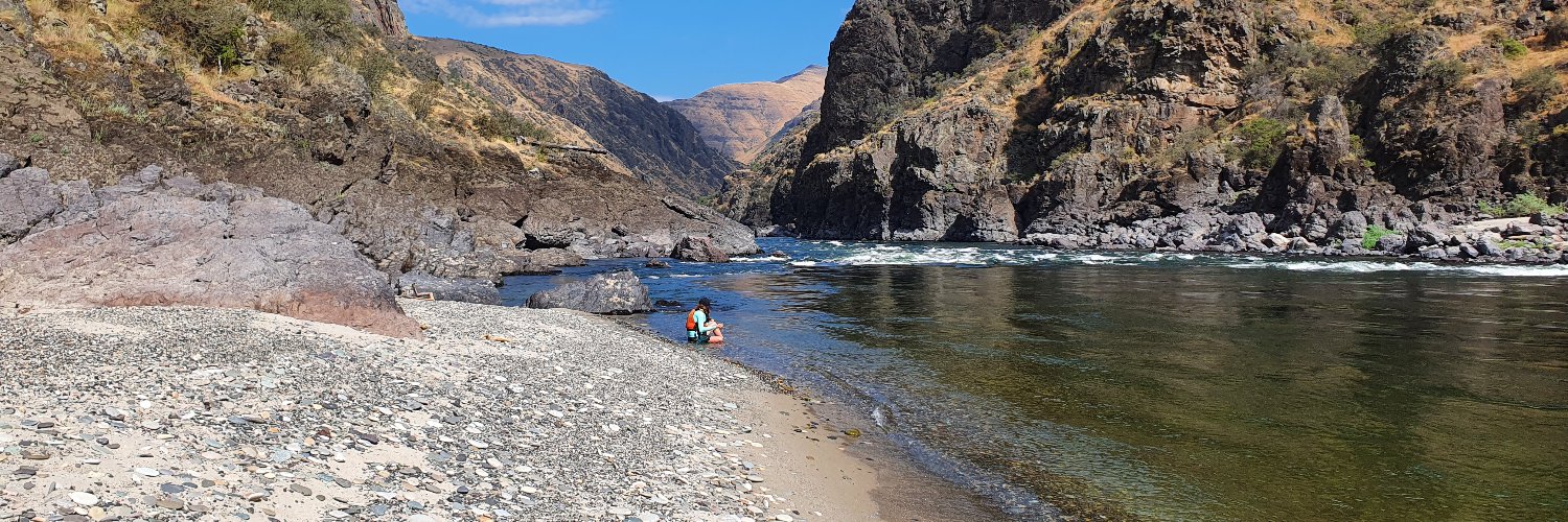 fielding marshall banner