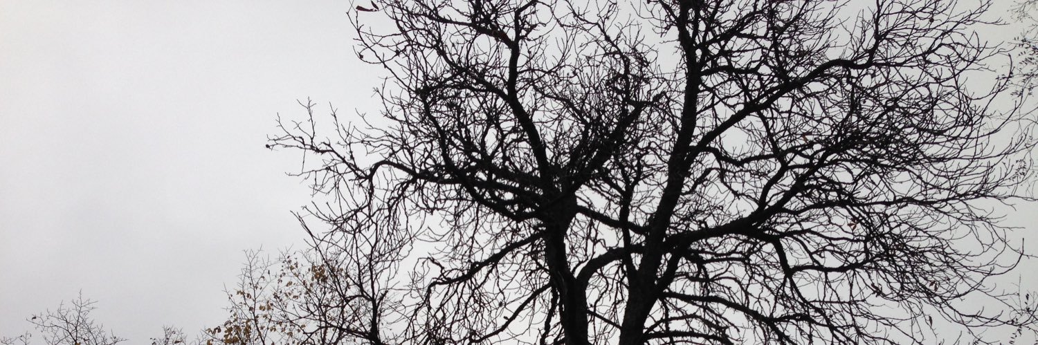 Michael Odden banner