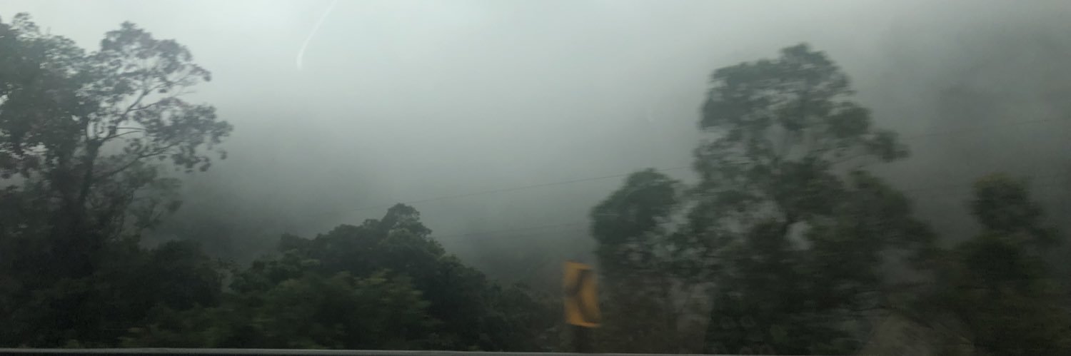 Foxx 🇧🇹 banner