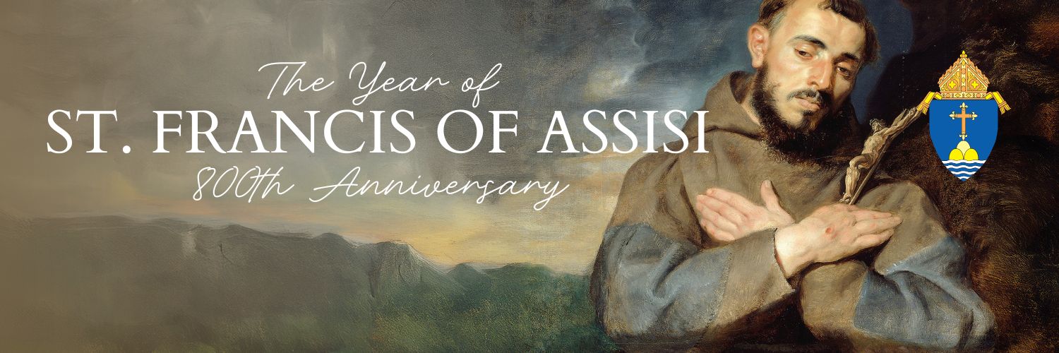 Archdio. of Boston banner