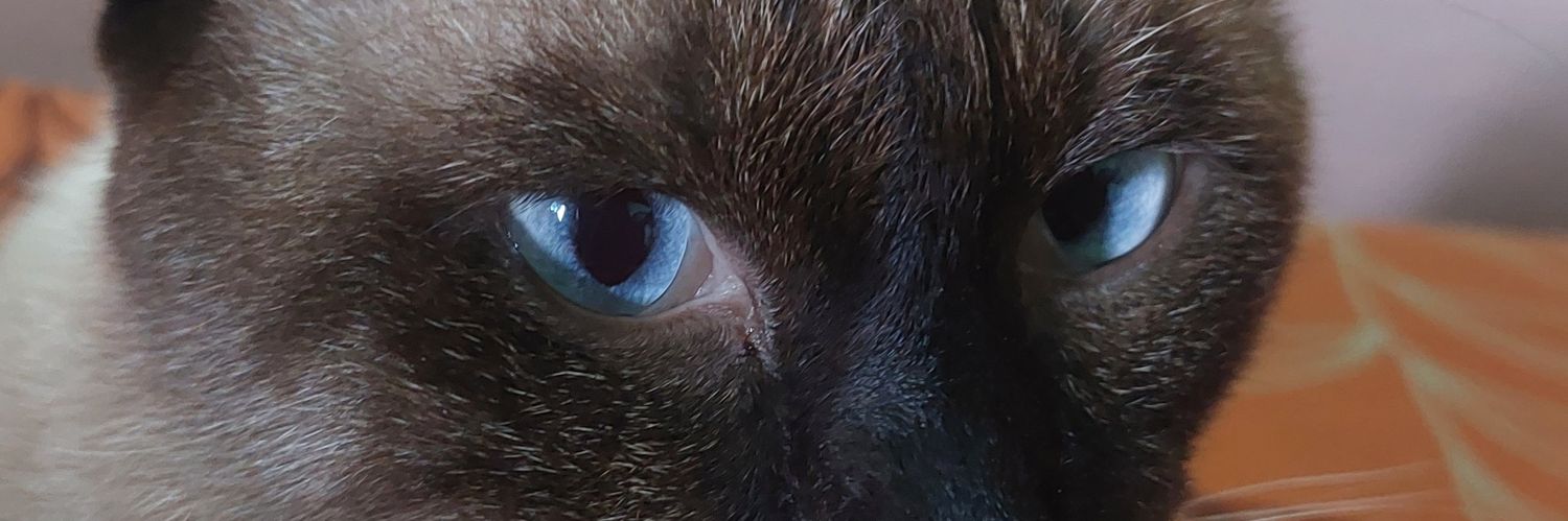 rhdlynvry's profile banner image