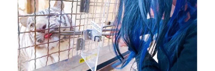 rxcyamxxx's profile banner image