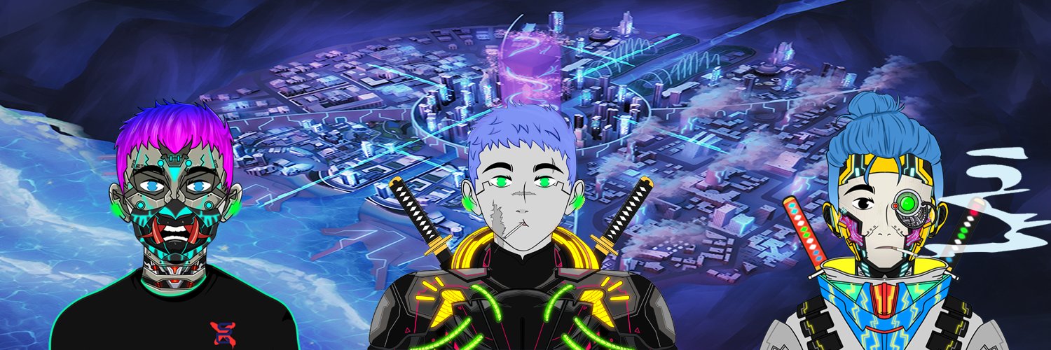 0xZooks's profile banner image