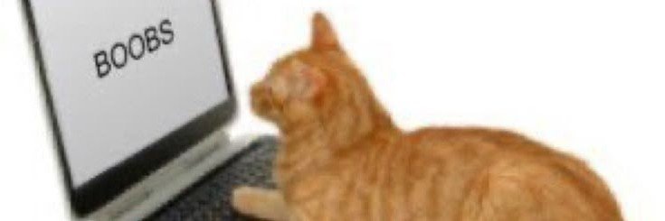 anarquive's profile banner image