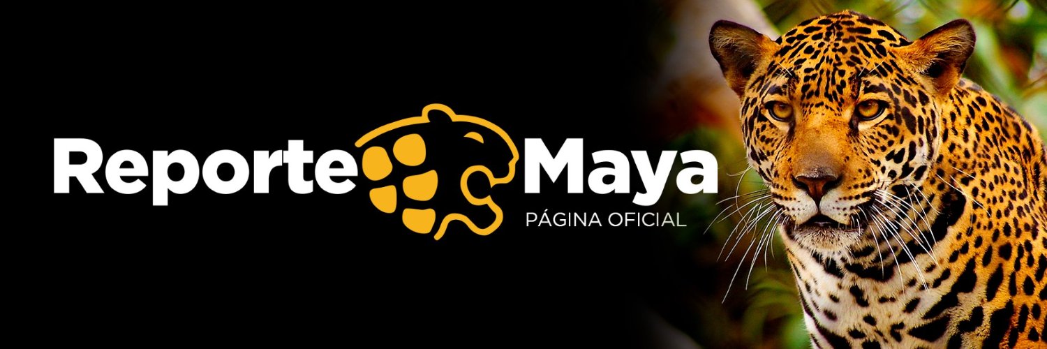 Reporte Maya banner