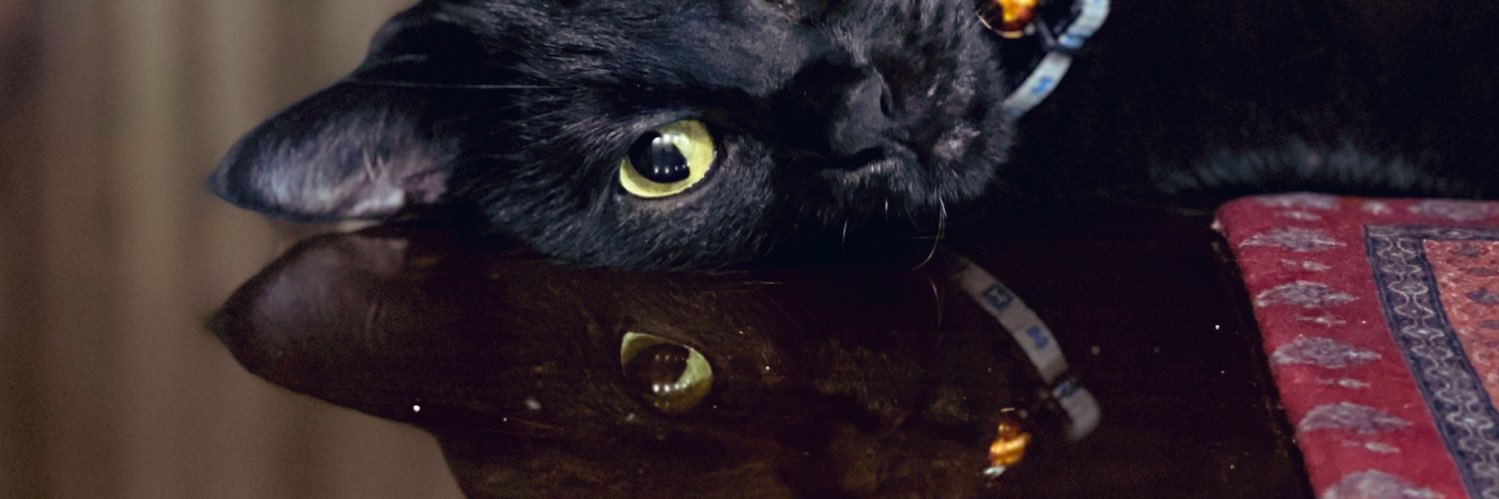 MaMziy's profile banner image