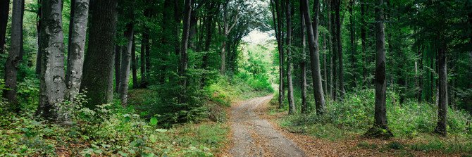 LadyCryptoRocks ⚡✨ banner
