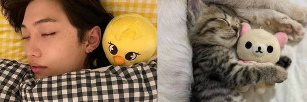 leeknowcoxas Profile Banner
