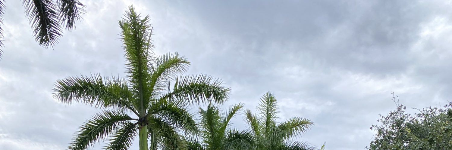 AMYBEKEE banner