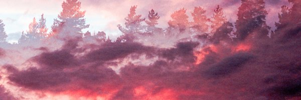 trifonic Profile Banner
