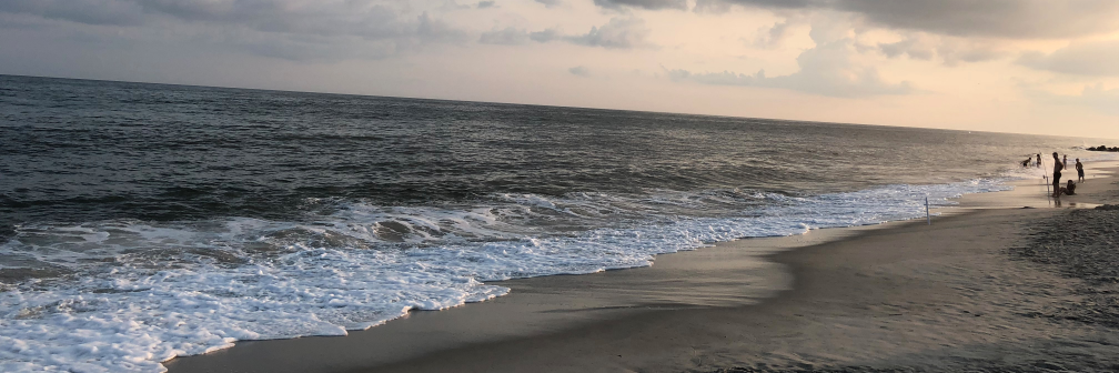 DavidFFabbri's profile banner image