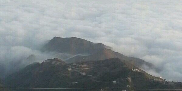 عبدالله العبدالعزيز banner